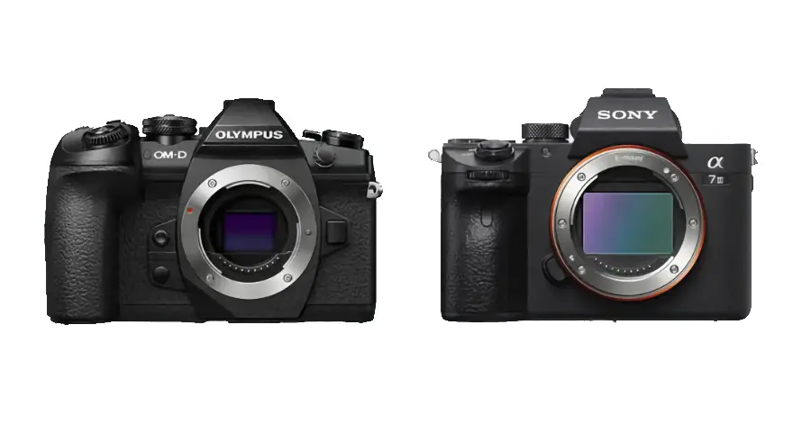 Olympus OM-D E-M1 Mark II Review: Worth It in 2024?_01