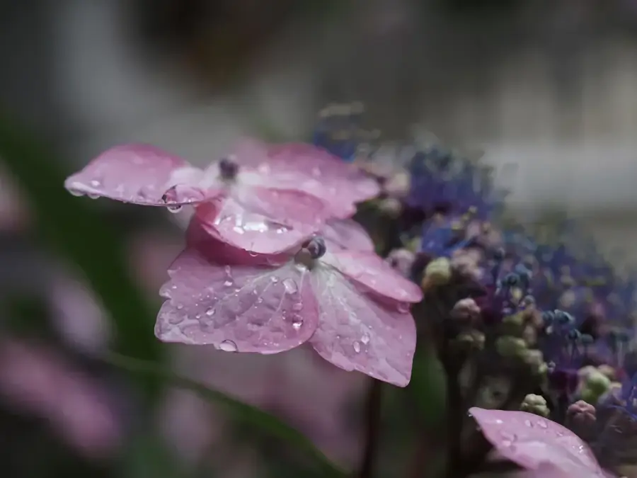 Olympus OM-D E-M5 Mark III review
