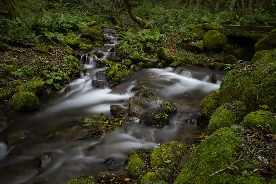 Olympus OM-D E-M5 Mark III Test: Kompakt & Leistungsstark_01